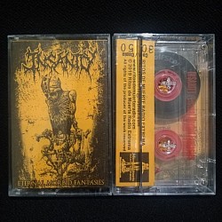 Insanity - Eternal Morbid Fantasies CS $4