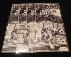 Laryngectomized / Postmortem Neurofetish Bionecrosis / Insectivore split CDR $3