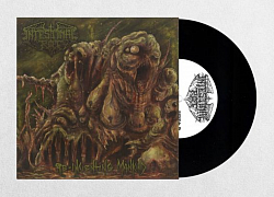 Intestinal Rot - Re-inventing Mankind 7