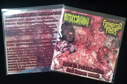 Fermented Fetus / Destrucción Humana - Rest In Putrefaction And Human Wreck split CDR $3