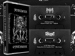 Fornicus / Ofstingan split CS $12