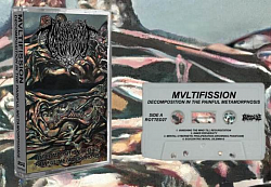 Mvltiffision - Decomposition in the Painful Metamorphosis CS $10