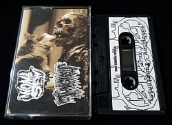 Womb Stew / Tungiasis split CS $4