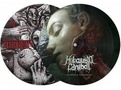 Desecration / Holocausto Canibal split  7