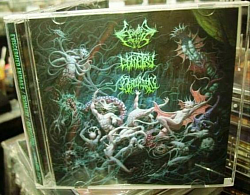 Eviscerated Entrails / Dismetry / Derogation split CD $8